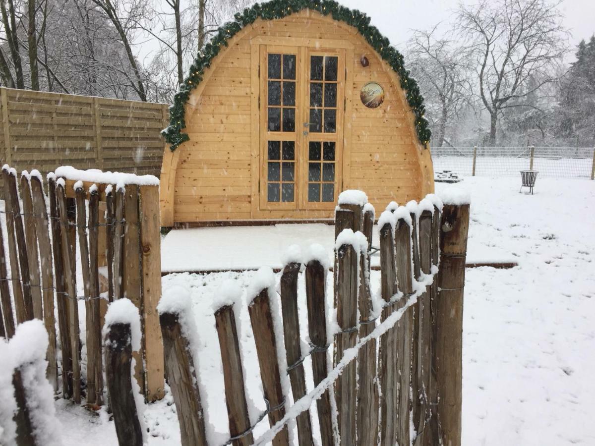Het Koningshofje Bed & Breakfast Pelt Bagian luar foto