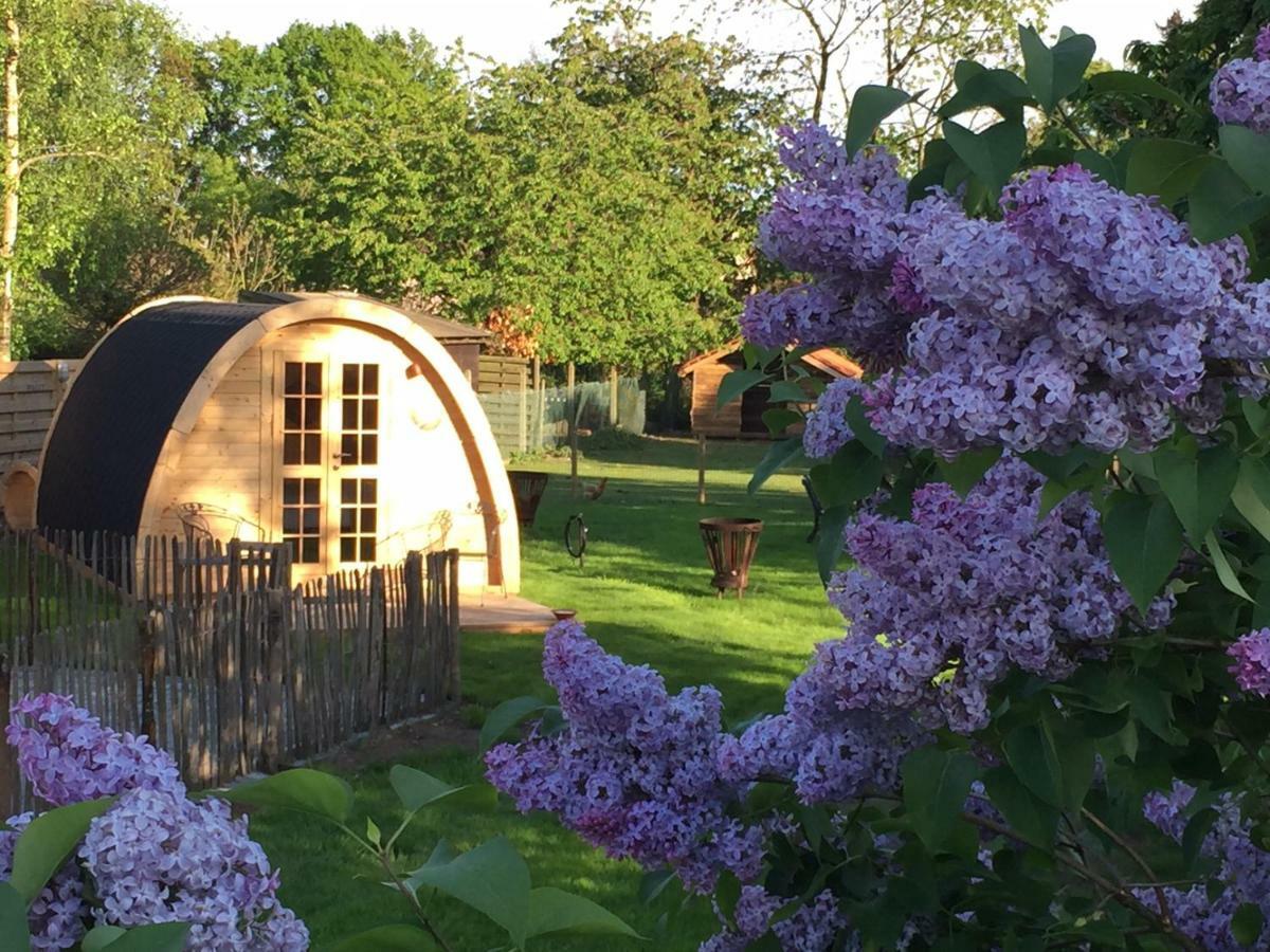 Het Koningshofje Bed & Breakfast Pelt Bagian luar foto